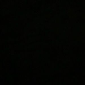 Meet your Posher, Abbey